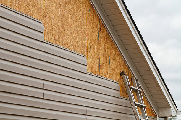 Professional Siding Inspection technician working in Industry, PA